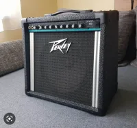 Peavey Envoy 110 USA Gitárkombó - Turóczy Gábor [Ma, 13:31]