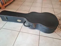 Alvarez  Gitarrehülle [July 31, 2023, 12:25 pm]