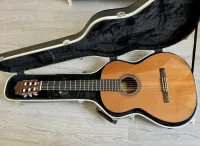 Alhambra 6P Guitarra clásica [August 2, 2023, 2:40 pm]