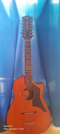 Migma  12-saitige Akustikgitarre [August 5, 2023, 4:56 pm]