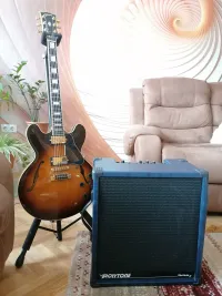 Polytone Mini Brute4 Combo de guitarra [August 5, 2023, 8:21 pm]