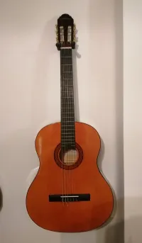 CGiant Wooden guitars Klassiche Gitarre [August 10, 2023, 9:42 pm]