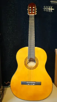 Martinez MTC Classic guitar - Nagy Zsoltii [March 19, 2025, 4:43 pm]