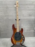 Music Man StingRay Bass guitar - Laci0212 [March 19, 2025, 4:38 pm]