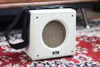 Cort A-Mini Combo de guitarra - szbarnabas [Today, 11:48 pm]