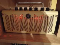 YAMAHA THR5 + bag