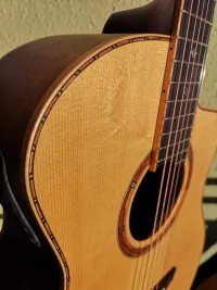 Dowina Chardonnay GAC Electro-acoustic guitar [October 1, 2023, 7:37 pm]