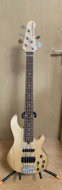 Lakland 55-02 Deluxe Basgitara 5 strún [September 12, 2023, 7:10 pm]