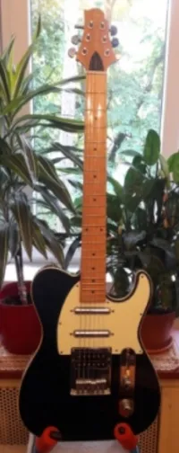 Samick Greg Bennett FA2 Formula. Telecaster. E-Gitarre [September 14, 2023, 2:26 pm]