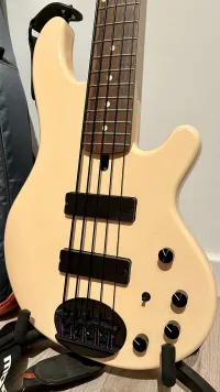 Lakland 55-01 Basgitara [September 23, 2023, 9:00 pm]