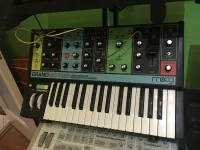 Moog Grandmother Synthesizer [September 25, 2023, 7:25 am]