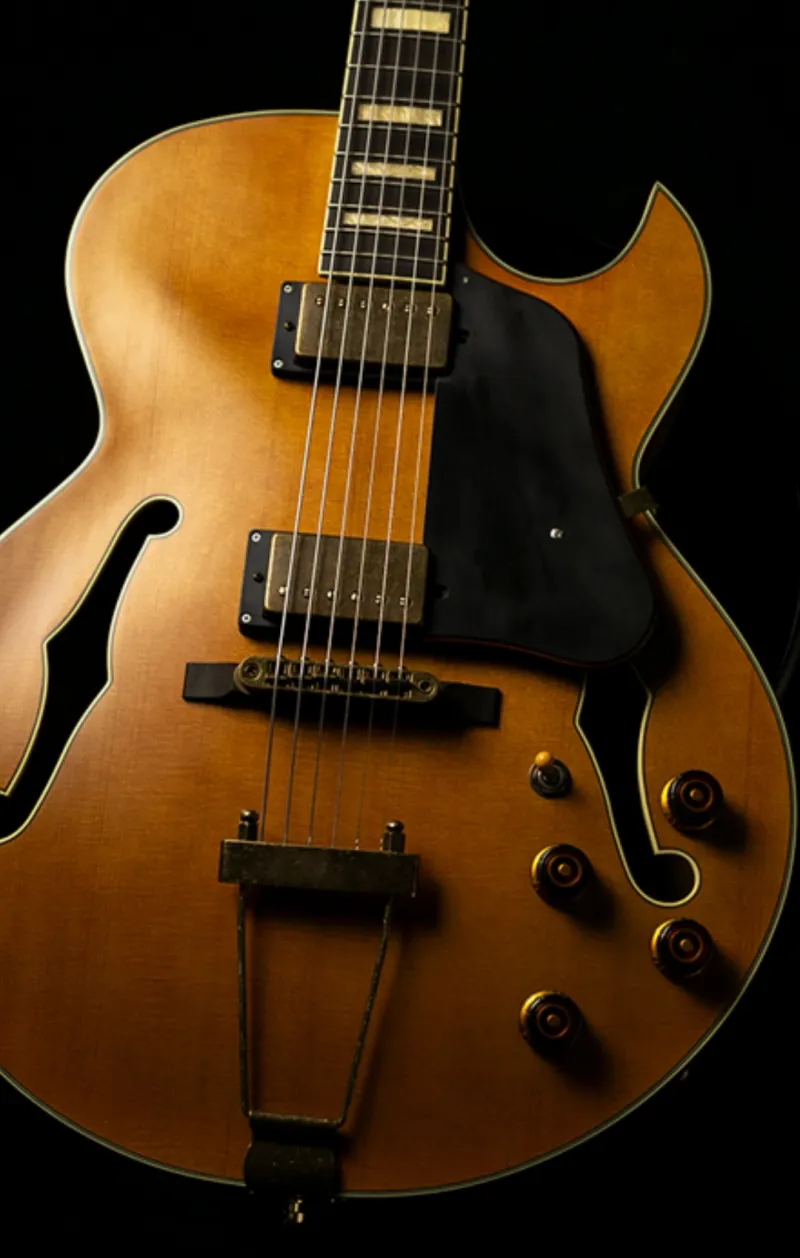 Ibanez Akjv 95 Jazzová gitara