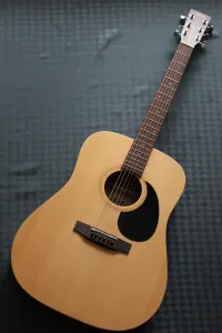 Ditson D-10 Acoustic guitar [October 10, 2023, 8:54 pm]