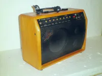 Cheri CA-30RC Akustikgitarrenverstärker [September 30, 2023, 9:09 pm]