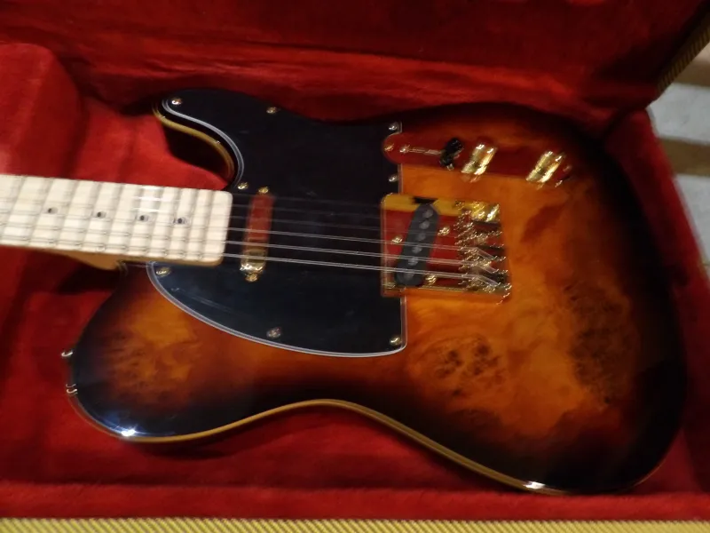 Michael Kelly CC50 Burl Burst Edition Guitarra eléctrica