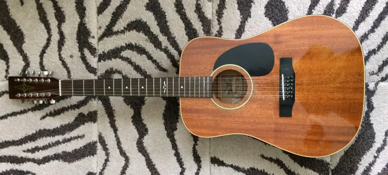 Alvarez 12 húros 12-string elektro-akustische Gitarre