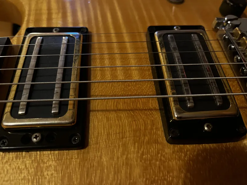 Lollar Gold Pickup set