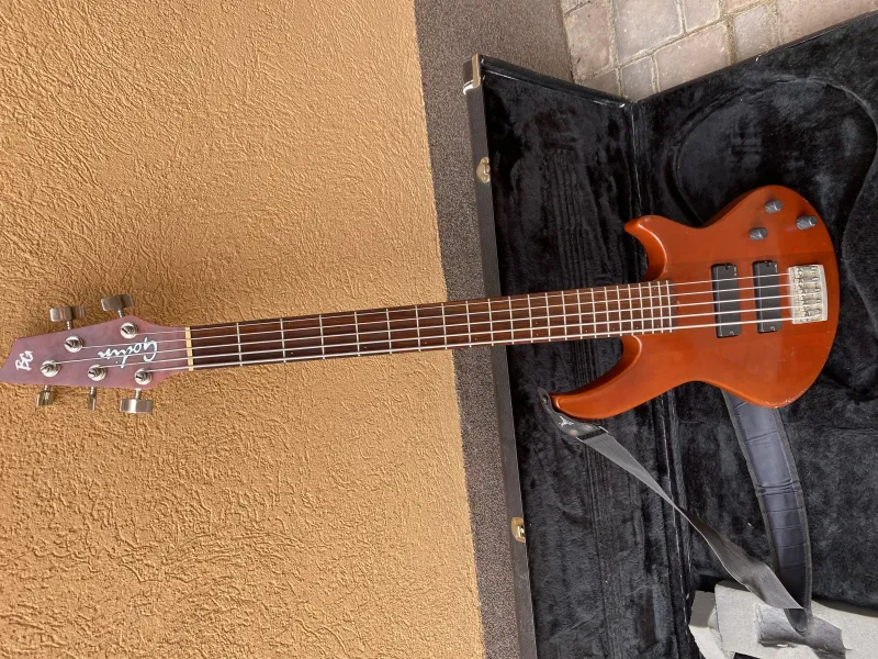 Godin BG-5 Bass Gitarre