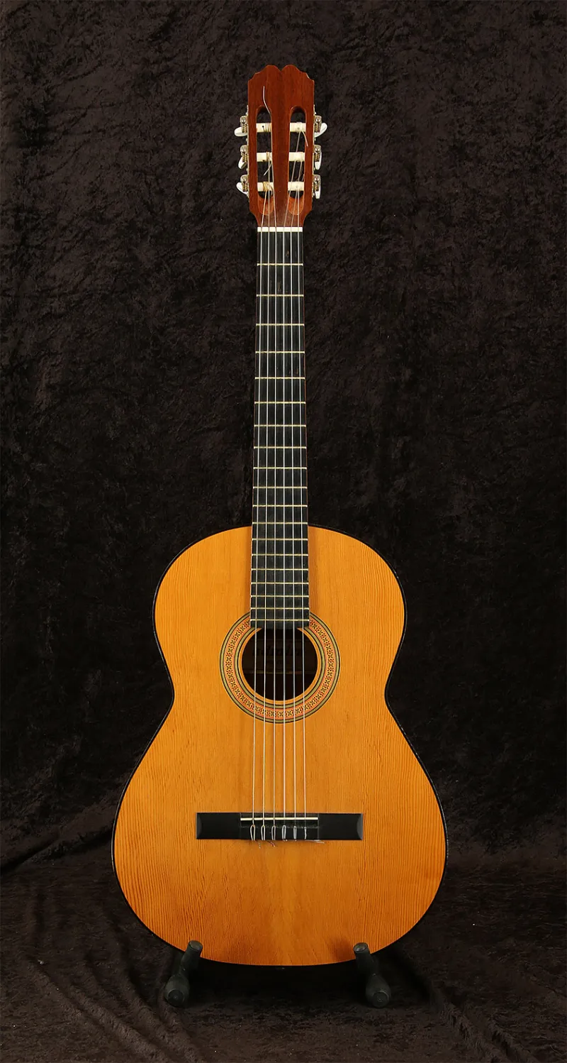  Paloma Klassiche Gitarre