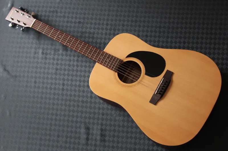 Ditson D-10 Acoustic guitar