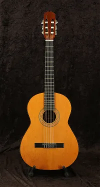 Admira Paloma Classic guitar [May 6, 2024, 12:24 pm]