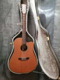 Dowina DCE999 Electro-acoustic guitar [October 27, 2023, 9:38 pm]