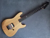 Chapman Guitars ML-1 HOTROD E-Gitarre [November 4, 2023, 3:48 pm]