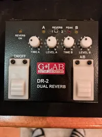 G lab Dr2 Pedal de reverb [November 18, 2023, 6:54 pm]