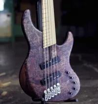 Blasius Oldstone 5 multiscale Bass guitar 5 strings [November 22, 2023, 1:03 pm]