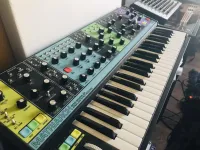 Moog Matriarch Analog-Synthesizer [February 13, 2024, 12:43 am]