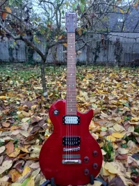 Egyedi készítésű LP Elektromos gitár - Csacsa [Ma, 14:27]