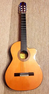 Raimundo NE 660 E Electro-acoustic classic guitar [November 28, 2023, 4:27 pm]