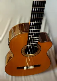 Raimundo NE 660 E Electro-acoustic classic guitar [December 25, 2023, 8:32 am]