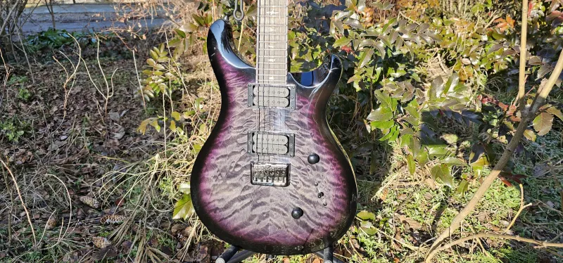 PRS SE Mark Holcomb Elektromos gitár