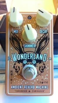 Caline Wonderland Shimmer Reverb Pedál [January 21, 2024, 4:04 pm]