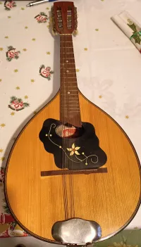 Cremona  Mandolin [2024.02.03. 12:57]