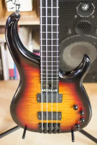 Modulus Quantum 4 fretless