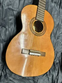 EKO Spanish Acoustic guitar [January 18, 2024, 8:07 am]