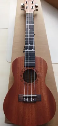 Craftsman MT Ukulele [2024.03.01. 20:44]