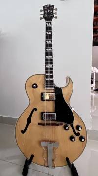 El Maya Es-175 Guitarra jazz [February 1, 2024, 9:46 pm]