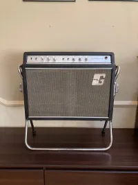 Guyatone GA-830 Guitar combo amp [February 7, 2024, 12:48 pm]