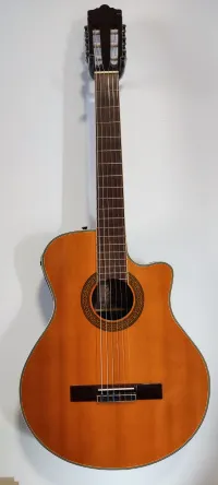 Jack and Danny Brothers ARB-30C Electro-acoustic guitar [February 13, 2024, 1:50 pm]