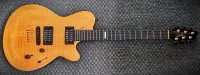 Godin SUMMIT CT 2008 Electric guitar [February 9, 2025, 10:00 am]