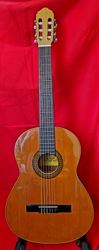 Raimundo 112 Classic guitar [March 5, 2024, 3:29 pm]