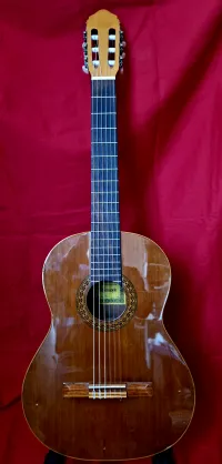 Raimundo 123 Classic guitar [March 25, 2024, 6:42 pm]