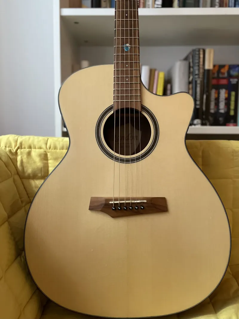  RGI-24CE Elektro-Akkustik Guitarre