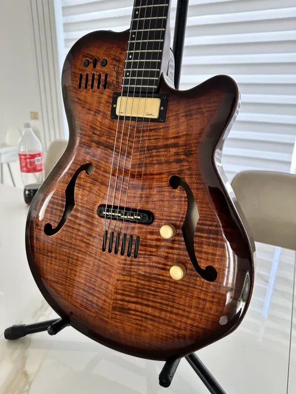 Godin Multiac Jazz SA Electric guitar