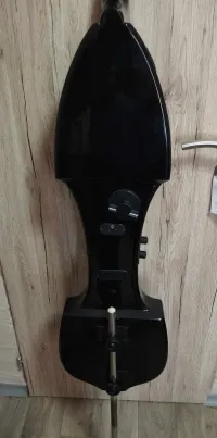 Palatino 123 Electric double bass [March 29, 2024, 11:11 am]
