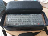 Dave Smith Prophet 6 Modul Synthesizer [April 4, 2024, 2:03 pm]