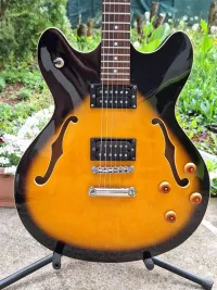 Oscar Schmidt Delta King OE30 Guitarra eléctrica [April 7, 2024, 11:11 am]